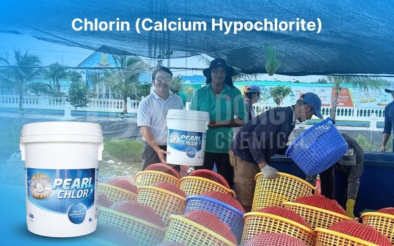 Top 7 Hóa chất xử lý nước nuôi tôm phổ biến nhất